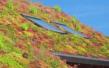 Charles Bottom living roof systems