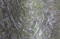 Charles Bottom fibreglass roof work